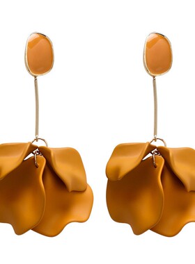Earings Women earing Earring For Girls Earrings Fashion