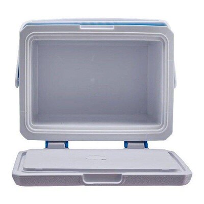 5L Insulated Portable Cooler with Handle Mini Freezer