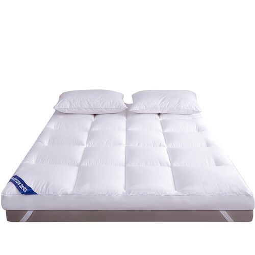 Thick 10cm soft mattress cushion foldable floor tatami mat