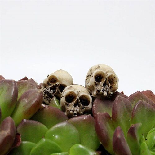 10/20Pcs Gothic Skull/ Mushroom Sculptures Collectable Hallo