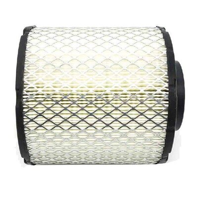 Replacement Spare Parts Accessories 2521372 Air Filter Car