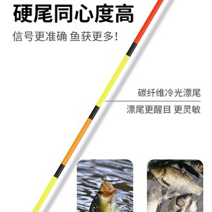 船长芦苇夜光电子漂日夜两用高灵敏醒目硬尾流氓夜钓鱼浮漂 漂尾