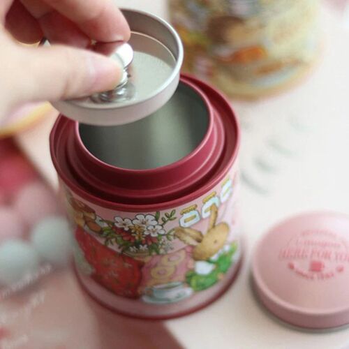 Cartoon Garden Rabbit Suitcase Storage Tin Candy Cookie Box