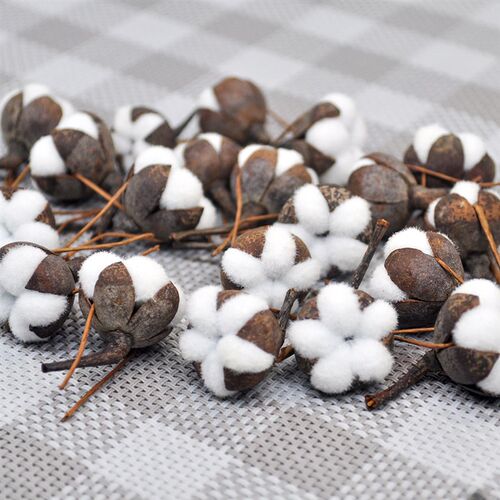 12 Artificial Kapok Natural Dried Flowers Simulation Cotton