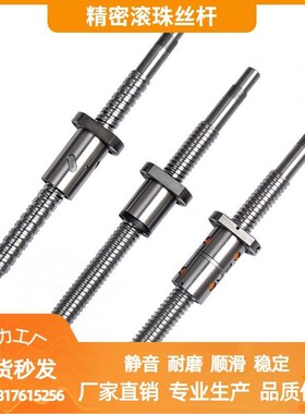 。精密滚珠丝杆SFU105 2005 0 10滚珠丝杠螺母副配支撑座