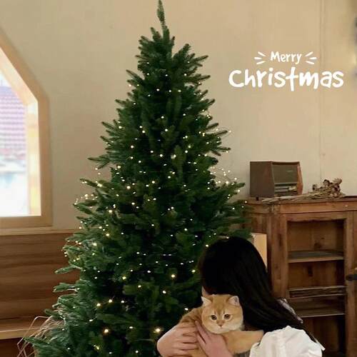 Christmas Tree Household LargeDIY Ornament Set圣诞树摆件套餐