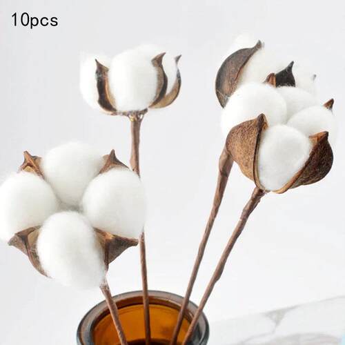 Decorative Dried Cotton Flowers Gypsophila White Home Orname