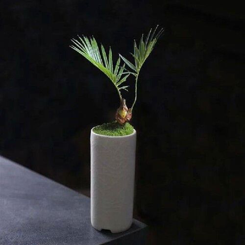 Chinese Style Creative Ice Crack Succulent Plant Pot Mini