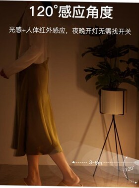 PIR Motion Sensor LED Night Light USB Rechargeable Lamp