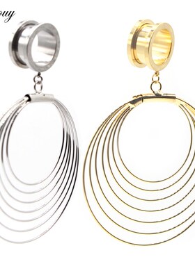 Alisouy 2pcs 6-25MM Stainless Steel Ear Plugs and Tunnels Da