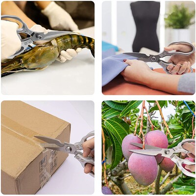 Kitchen Accessories Scissors Stainless Steal Sharp Multi Fun