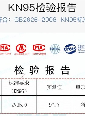 Reusable 3D Fashion Cloth KN95 face mask filter smog pm2.5