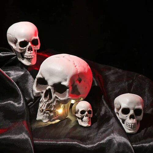 All Size Human Skull Head Skeleton Halloween Style Photo Pro