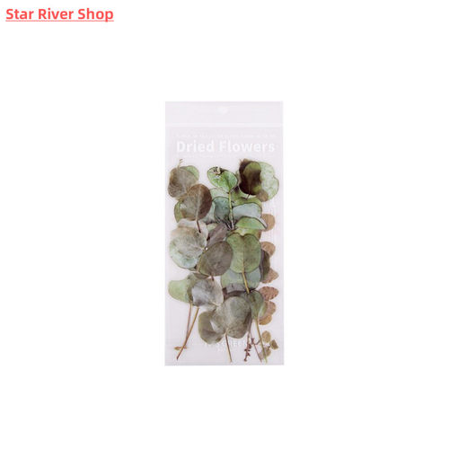 Weekend flower shop series Decorative Stickers Scrapbooking