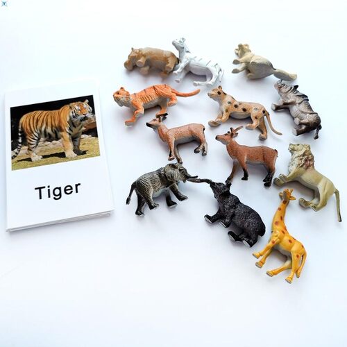 24Pcs/Set Montessori baby Learning English Animals Kids