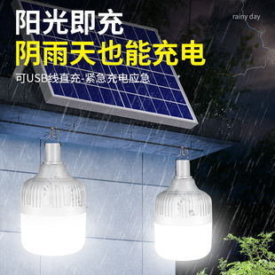 Outdoor Bulb Portable Powered Lamp Solar Pendant Light