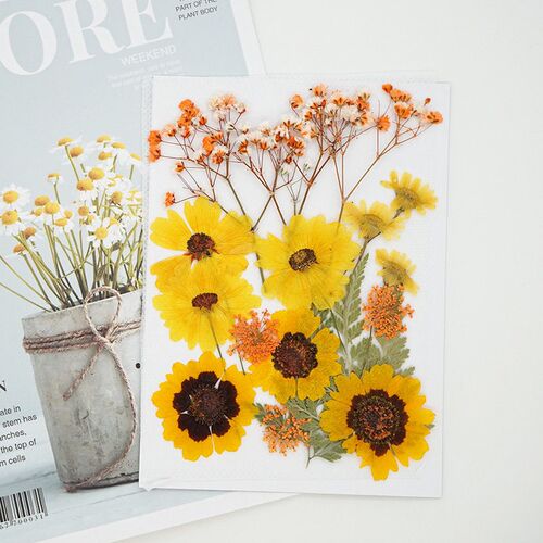 Real Flower Pressed Flower Internet Celebrity Face Decoratio