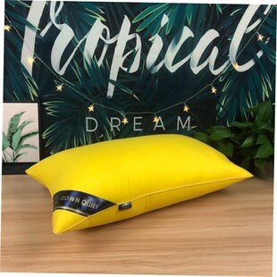Pillow Healthy pillows feather velvet hotel pillow for bed