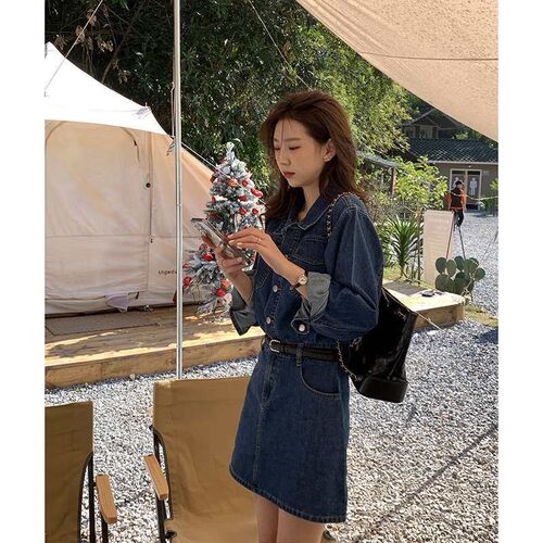 Huang Zheng Retro Denim Dress Womens Early Spring Tight Wai