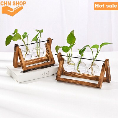 Plant Terrarium with Wooden Stand Vintage desktop decoration