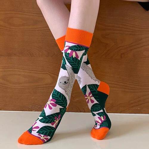 Fashion Colorful Autumn Winter Stocking  Womens Socks  Plan