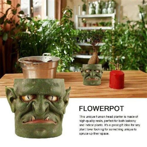 Face Plant Pot Face Succulent Pot Resin Head Plant