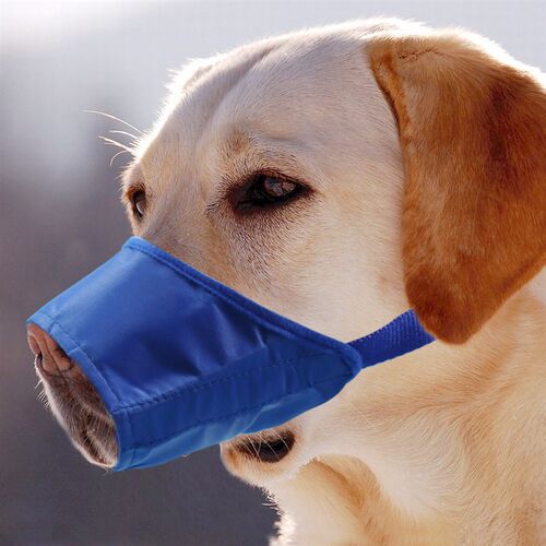Pet Dog Adjustable Mask Bark Bite Mesh Mouth Muzzle Grooming