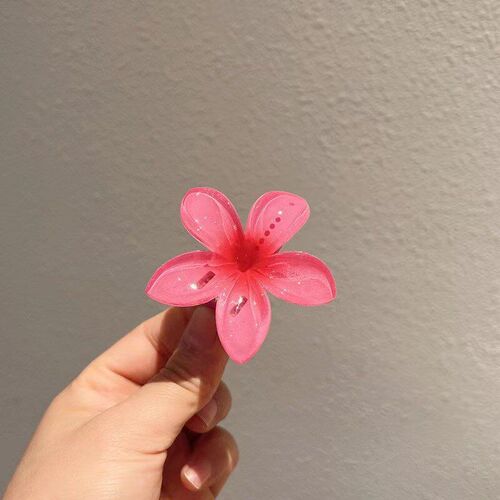 2025 Sweet CandyColored Frangipani Hairpin BackofHead Duckbi
