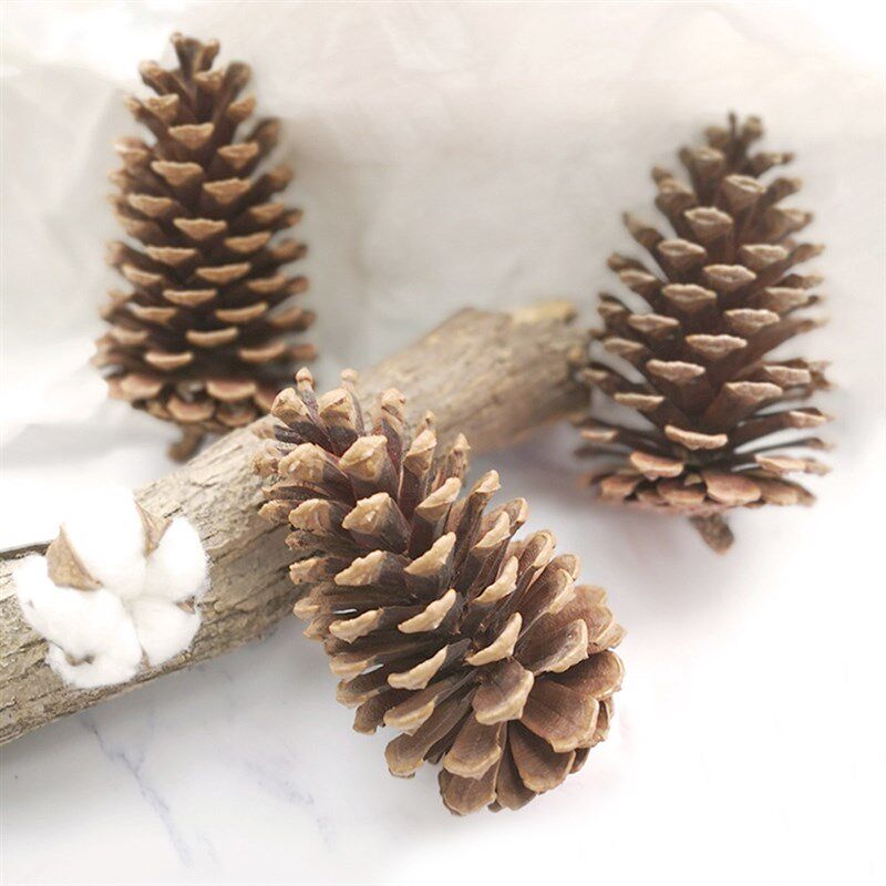 4pcs 10-14cm big size naturally pine cones for Christmas dec