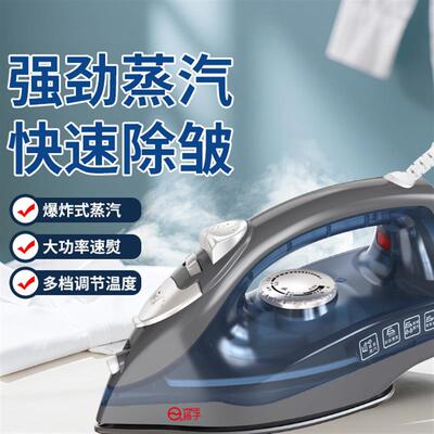 electric steam iron soleplate clothes steamer 家用蒸汽熨斗