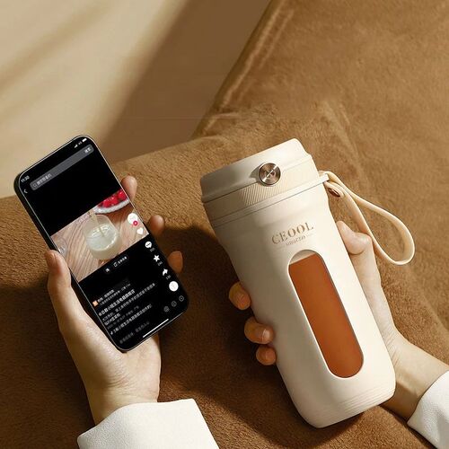 10 Blades Electric Portable Blender 350ML Juicer Fruit Mixer