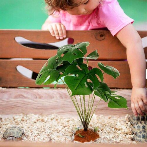 Outdoor Decorative Plants Office Terrarium for Plastic Tank