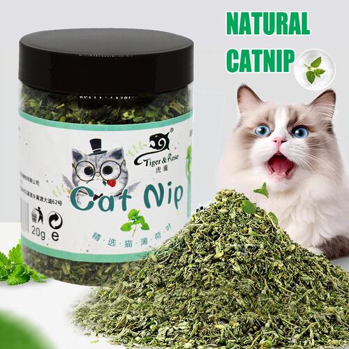 Premium Natural Catnip Cat toys Organic Cat nip