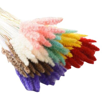 Yunnan Dried Flower Manufacturer E-commerce Small Reed Dried