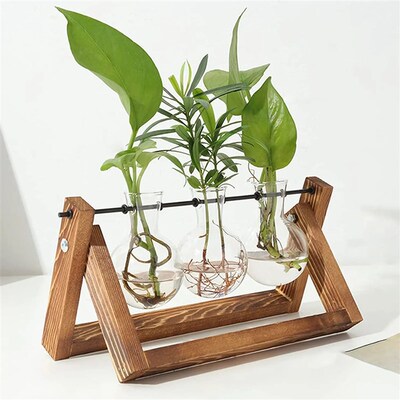 Propagation Station for Bulb, Vases with Wooden Stand and Me