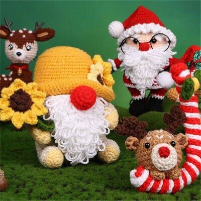 DIY Crochet Starter with Yarn, Hook, Needle, Knitting