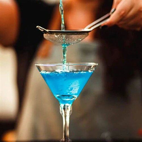 10 Pcs Disposable Plastic Cocktail Martini Container