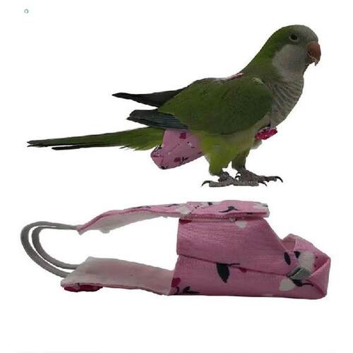 Bowtie Stylish Adorable Colorful Innovative Cute Popular