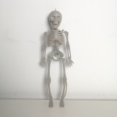 Skull Joint Adjustable Halloween Horror display  skull rack