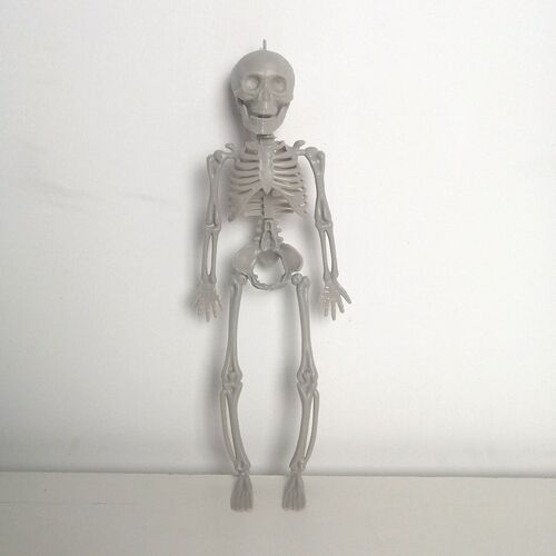 Skull Joint Adjustable Halloween Horror display  skull rack