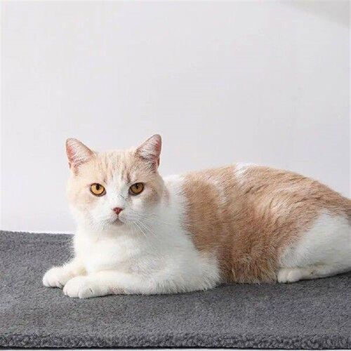 Sherpa Fabric Pet Bed Comfortable Sherpa Self-heating Pet