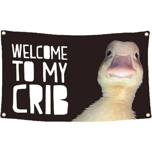 2X3/3X5 FT Welcome To My Crib Flag Wall Art Tapestry Wall