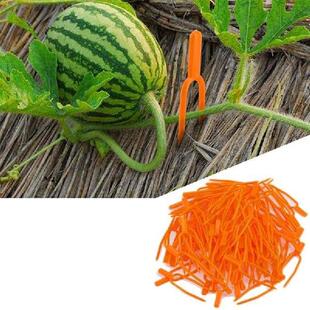 100pcs Gardening Vine Crimper Strawberry Forks Vine Crimper