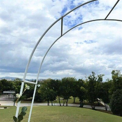Metal Arch Iron Shelf Climbing Plant Support Freely
