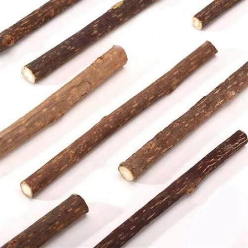 20Pcs Natural Silvervine Sticks For Catnip Sticks Matatabi