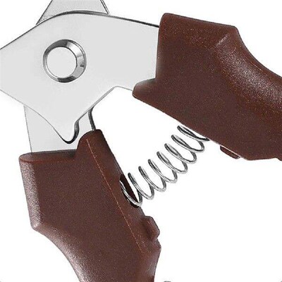 Chestnut Scissors Stainless Steel Chestnut Peeler Ergonomic
