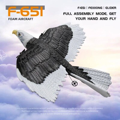 FX651 RC Plane Eagle Airplane Wingspan Glider 2.4G Radio Rem