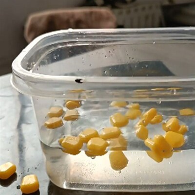 50/100 pcs Colored Pop Up Carp Fishing  Flavoured Grass Carp