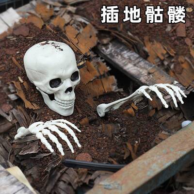 Haunted house horror props Mummified skeletons Halloween dec