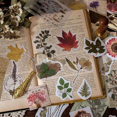 Yoofun 60pcs/pack Multi-Material er Pack Vintage Mushroom Pl